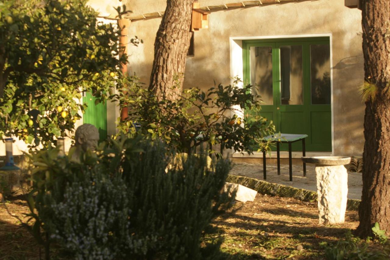 B&B Manca1Fiorino Buseto Palizzolo Exterior foto